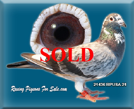 21436RUSA21