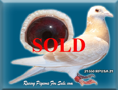 21550RPUSA21 21550RPUSA21