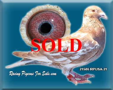 21586RPUSA21 21586RPUSA21