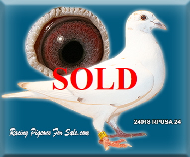 24018RPUSA24 24018RPUSA24