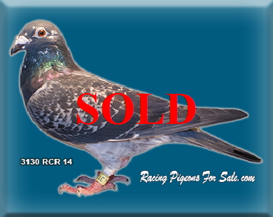3130RCR14 3130RCR14